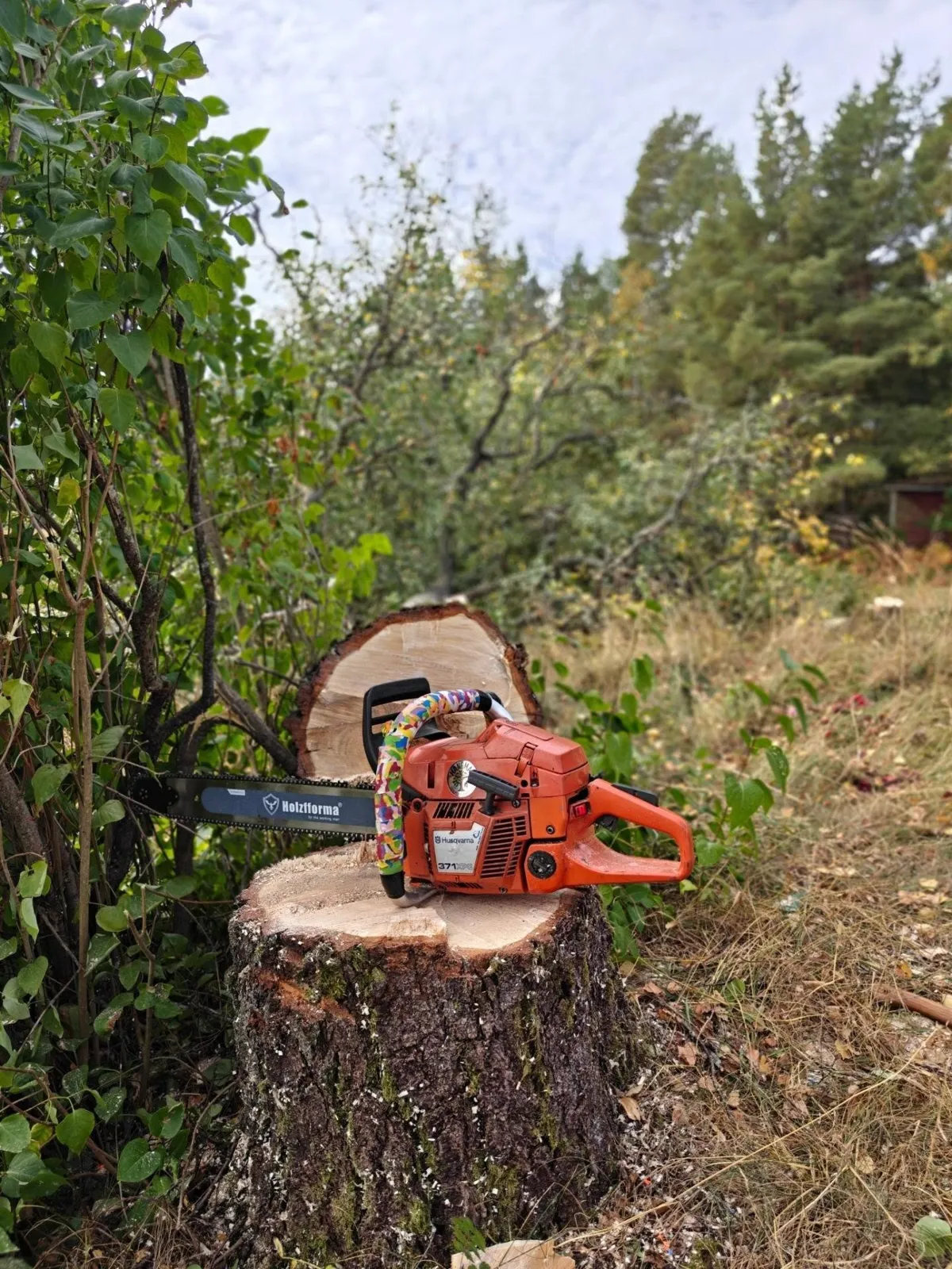 Motorsåg på en stubbe bland gröna buskar