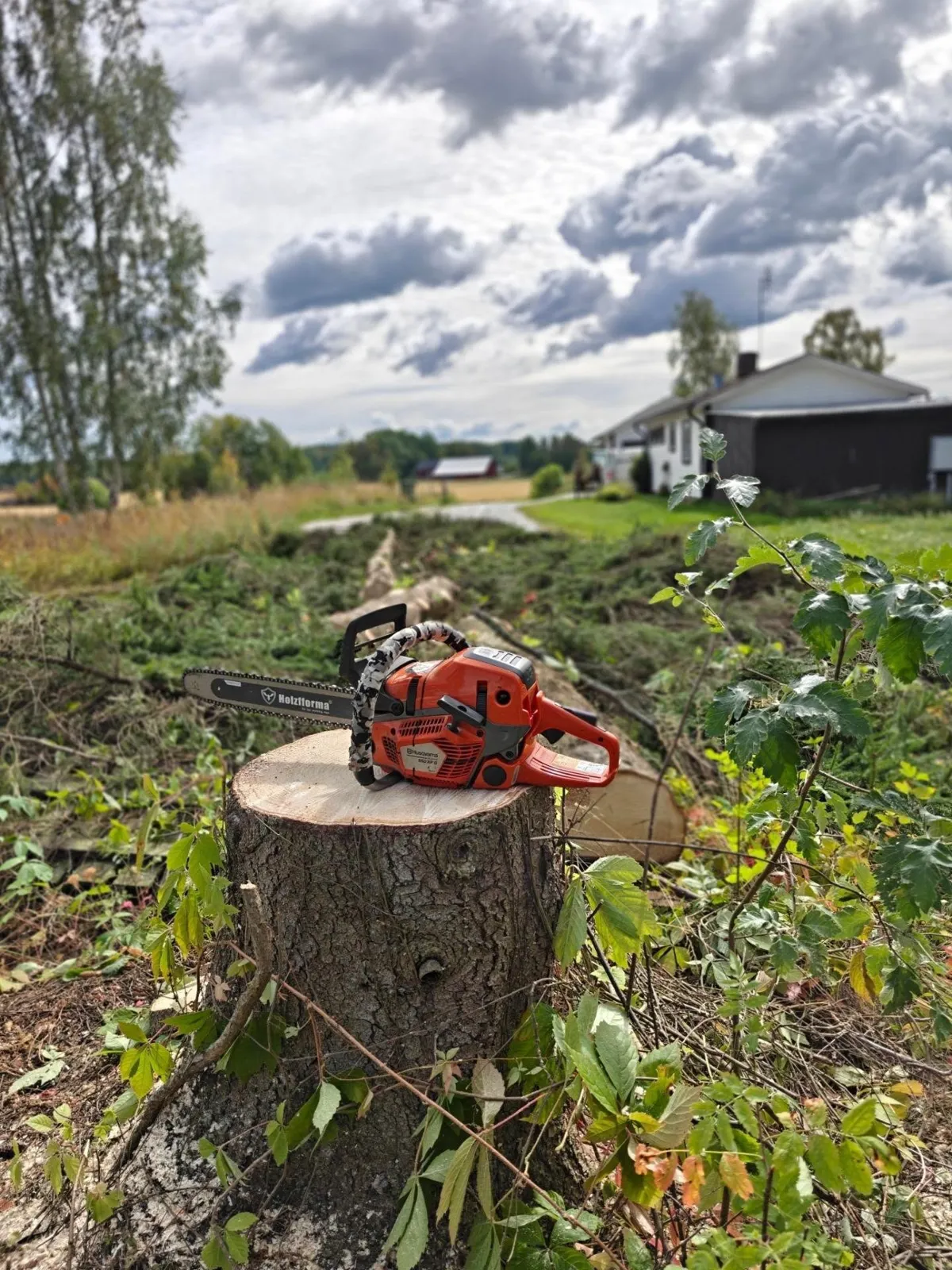 Orange motorsåg på en nysågad stubbe, med kapade stockar och en gård i bakgrunden